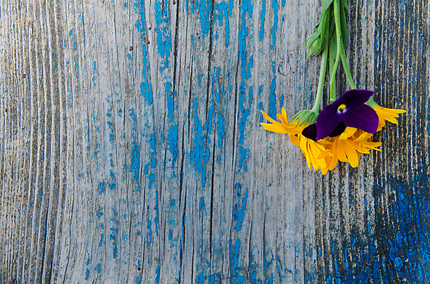 포토 JPG 해외이미지 식물 꽃 백그라운드 잎 꽃무늬 자연 벽지 탁자 표면 프레임 미술 사람없음 목재 장식 컬러풀 갈색 우주 정원 수확 벚꽃 시골 널 질감 옛날 해외202004 해외포토 나무 컬러 가구 무늬 농업 재료 문화예술 생태계 파일형식 이미지허브