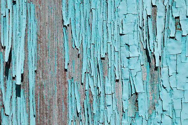 포토 JPG 해외이미지 벽 백그라운드 패턴 자연 표면 추상 사람없음 목재 초록색 페인트 거친 균열 널 질감 그런지 수목 옛날 해외202004 해외포토 나무 컬러 무늬 재료 모션 생태계 파일형식 이미지허브