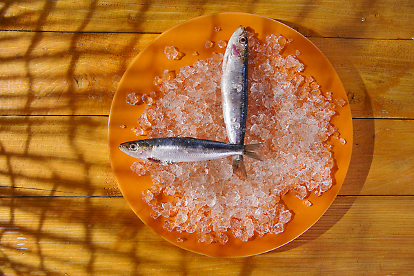 포토 JPG 해외이미지 접시 식재료 실내 사람없음 얼음 신선 멸치 앤초비 나무배경 해외202004 해외포토 자연요소 식기 백그라운드 어류 내부 파일형식 이미지허브