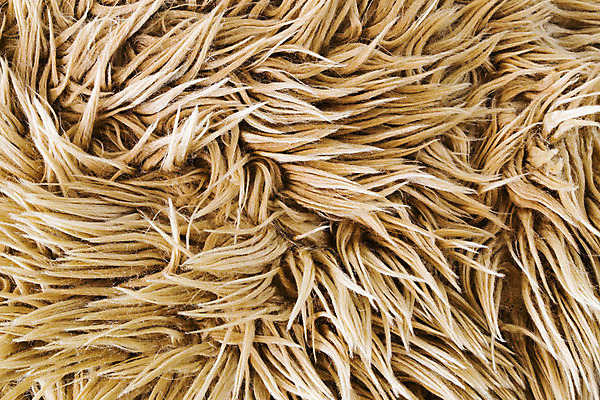 포토 JPG 해외이미지 동물 디자인 얼굴 인형 백그라운드 곰 포옹 자연 벽지 추상 털 사람없음 장식 갈색 노란색 검은색 흰색 닫기 모피 질감 부드러움 양모 고립 해외202004 해외포토 컬러 무늬 포유류 안기 모션 신체부위 직물 감각 생태계 파일형식 이미지허브