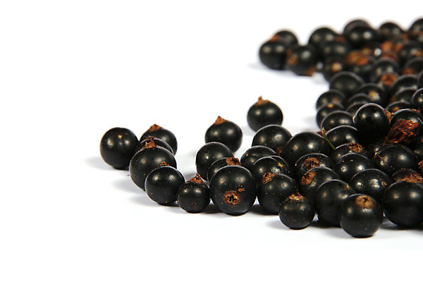 포토 JPG 해외이미지 식물 열매 음식 백그라운드 과일 자연 디저트 건강 사람없음 여름 쌓기 검은색 흰색 신선 원형 그룹 달콤 맛 향 흙더미 내추럴 건포도 고립 숙성 채식주의자 해외202004 해외포토 도형 계절 컬러 컨셉 모션 포도 흙 생태계 채식 건과일 파일형식 더미 이미지허브