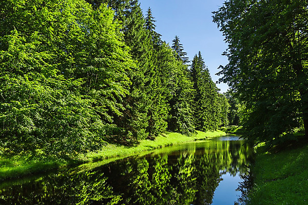 포토 JPG 해외이미지 나무 식물 공원 여행 잎 자연 하늘 풍경 사람없음 야외 목재 초록색 물 여름 파란색 강 반사 평화 환경 계곡 침묵 흐름 바위 신선 소나무 개울 숲 장면 침엽수 내추럴 삼림지대 가문비나무 해외202004 해외포토 자연요소 계절 공공시설 컬러 컨셉 재료 소리 돌_바위 생태계 파일형식 이미지허브