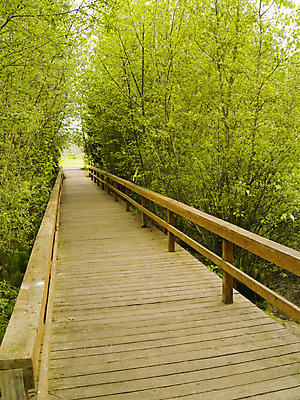 포토 JPG 해외이미지 나무 식물 공원 도로 길 잎 건축양식 자국 자연 사람없음 야외 목재 초록색 봄 고가도로 복도 숲 오솔길 오브젝트 통로 태평양 건너기 해외202004 해외포토 계절 공공시설 건축 바다 컬러 재료 교통시설 모션 고속도로 생태계 파일형식 이미지허브
