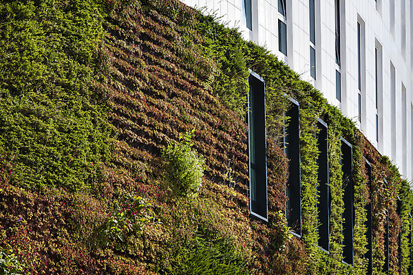 포토 JPG 해외이미지 식물 외관 벽 백그라운드 컨셉 잎 건축양식 창문 자연 아파트 프레임 사람없음 야외 건물 장식 초록색 사무실 환경 정원 성장 신선 네덜란드 생태계 내추럴 해외202004 해외포토 건축물 건축 유럽 컬러 비즈니스 주택 파일형식 이미지허브