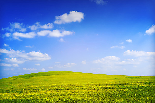 포토 JPG 해외이미지 구름 밭 농업 자연 풍경 사람없음 여름 노란색 시골 언덕 장면 해외202004 해외포토 자연요소 계절 산업 컬러 생태계 파일형식 이미지허브