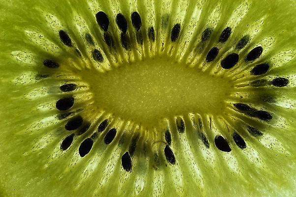 포토 JPG 해외이미지 음료 음식 조각 과일 자연 건강 키위 씨앗 사람없음 초록색 주스 샐러드 사막 신선 달콤 먹기 내추럴 해외202004 해외포토 식물 컬러 모션 맛 생태계 파일형식 이미지허브