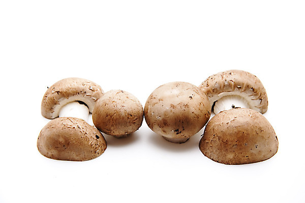 포토 JPG 해외이미지 음식 채소 사람없음 갈색 식사 버섯 수확 껍질 신선 맛 먹기 피부 흰배경 날것 해외202004 해외포토 컬러 백그라운드 컨셉 농업 모션 신체부위 흰색 파일형식 이미지허브