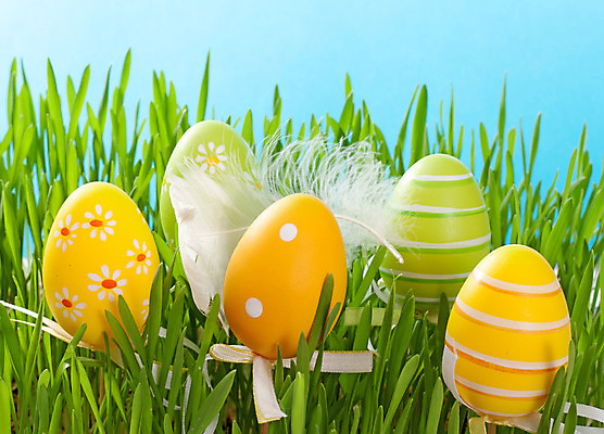 포토 JPG 해외이미지 전통 계절 행복 리본 종교 백그라운드 자연 하늘 휴가 부활절 기념 잔디 사람없음 장식 초록색 파란색 컬러풀 노란색 계란 축제 봄 흰색 축하 신선 그리기 그룹 4월 오브젝트 활 기념품 뼈대 수공예 고립 취급주의 해외202004 해외포토 식물 기념일 감정 컬러 컨셉 모션 경고 알 날짜 공예 생태계 파일형식 이미지허브