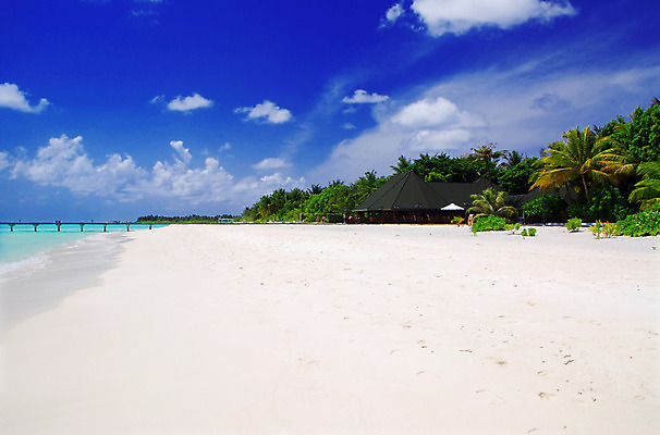 포토 JPG 해외이미지 나무 물결 모래 파도 바다 섬 여행 백그라운드 자연 하늘 휴가 휴식 손바닥 풍경 사람없음 물 여름 파란색 햇빛 태양 침묵 만 휴양지 태평양 코코넛 석호 몰디브 이국적 터키석 파라다이스 해외202004 해외포토 자연요소 식물 손 계절 아시아 컬러 컨셉 과일 소리 장소 보석 생태계 파일형식 이미지허브