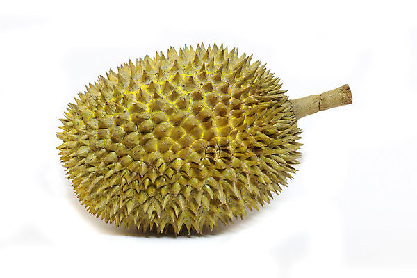 포토 JPG 해외이미지 계절 아시아 음식 줄기 백그라운드 십자가 다이어트 채소 과일 재료 부분 태국 자연 건강 동양인 사람없음 내부 초록색 노란색 흰색 신선 가시 달콤 맛 왕 먹기 가득함 상쾌 유기농 날것 냄새 날카로움 슛 길이 고립 숙성 이국적 해외202004 해외포토 식물 웰빙 감정 나라 컬러 컨셉 모션 인종 생태계 파일형식 이미지허브