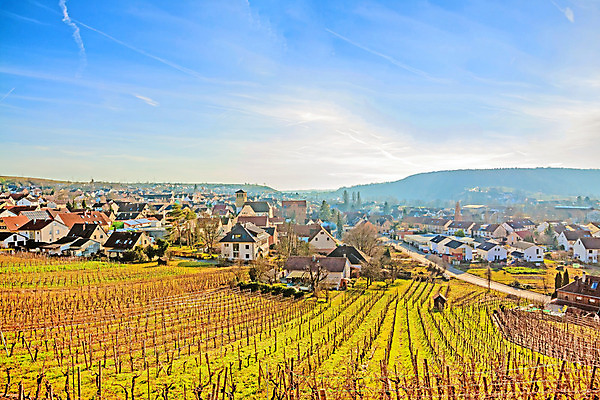 포토 JPG 해외이미지 유럽 농업 자연 하늘 독일 풍경 사람없음 파란색 마을 와인 계곡 성장 시골 도시 센터 언덕 포도밭 타운 세련 해외202004 해외포토 나라 산업 컬러 밭 주류 생태계 파일형식 이미지허브