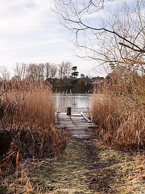 포토 JPG 해외이미지 구름 계절 공원 길 호수 백그라운드 겨울 건축양식 자연 바람 갈대 풍경 취미 사람없음 야외 목재 물 파란색 강 환경 항구 맑음 얼음 봄 산책 하이킹 회색 추위 흰색 연못 널 오솔길 장면 내추럴 해외202004 해외포토 자연요소 나무 식물 공공시설 건축 컬러 재료 교통시설 레저 날씨 휴식 생태계 파일형식 이미지허브