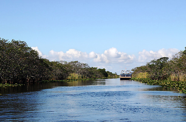 포토 JPG 해외이미지 나무 식물 공원 호수 야생동물 스포츠 여행 교통시설 자연 낚시 휴가 풍경 사람없음 야외 초록색 물 여름 강 반사 평화 환경 미국 연못 보트 황무지 습지 승차 숲 백합 프로펠러 함선 남쪽 내추럴 생태학 전국 플로리다 해외202004 해외포토 자연요소 동물 계절 공공시설 교육 꽃 컬러 교통 컨셉 북아메리카 배_교통 모션 레저 방향 시설 생태계 파일형식 이미지허브