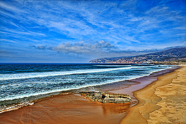 포토 JPG 해외이미지 나무 계절 파도 바다 분홍색 여행 백그라운드 자연 벽지 하늘 날씨 추상 휴가 휴식 풍경 사람없음 물 여름 파란색 컬러풀 태양 평화 보라색 침묵 일몰 만 오픈 저녁 순수 장면 내추럴 돌봄 랜드마크 생태학 수평선 해외202004 해외포토 자연요소 식물 교육 컬러 컨셉 무늬 모션 노을 소리 야간 생태계 파일형식 이미지허브