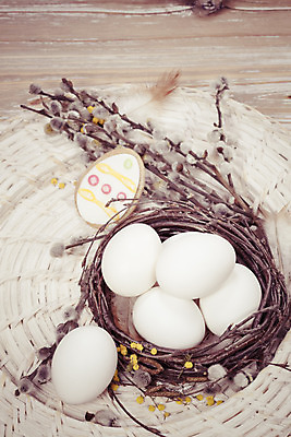 포토 JPG 해외이미지 식물 전통 행복 음식 백그라운드 꽃무늬 휴가 부활절 기념 사람없음 목재 장식 초록색 바구니 계란 축제 봄 공백 흰색 축하 시간 신용카드 그리기 둥지 볏짚 4월 편지 다발 심볼 질감 염색 밀짚 강렬 삶기 유월절 파스텔톤 해외202004 해외포토 나무 계절 기념일 꽃 감정 컬러 컨셉 무늬 재료 모션 금융 알 날짜 짚 파일형식 이미지허브