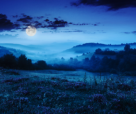 포토 JPG 해외이미지 하늘 풍경 초원 사람없음 야외 파란색 보름달 달 야간 해외202004 해외포토 자연요소 컬러 파일형식 이미지허브