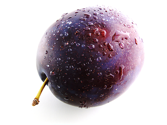 포토 JPG 해외이미지 음식 과일 사람없음 떨어짐 이슬 큼 자두 고립 숙성 정물화 해외202004 해외포토 컨셉 크기 그림 파일형식 이미지허브