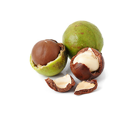 포토 JPG 해외이미지 식물 라이프스타일 계절 음식 과일 재료 공 자연 건강 씨앗 사람없음 장식 갈색 견과류 수확 껍질 흰색 신선 그룹 균열 닫기 먹기 유기농 알맹이 날것 내추럴 개암나무 고립 깨짐 단백질 핵심 해외202004 해외포토 나무 웰빙 컬러 컨셉 농업 모션 생활 생태계 영양소 파일형식 이미지허브