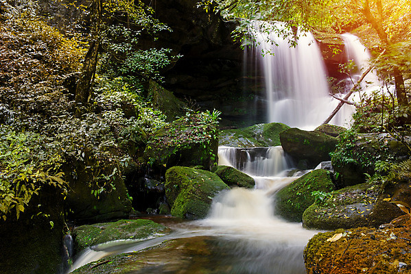 포토 JPG 해외이미지 나무 식물 공원 잎 모션 태국 자연 휴가 휴식 풍경 사람없음 목재 초록색 물 강 정원 놀람 폭포 흐름 가을 신선 개울 숲 시원함 열대우림 순수 즐거움 천국 내추럴 삼림지대 파라다이스 해외202004 해외포토 자연요소 계절 공공시설 감정 아시아 컬러 컨셉 재료 표정 생태계 파일형식 이미지허브