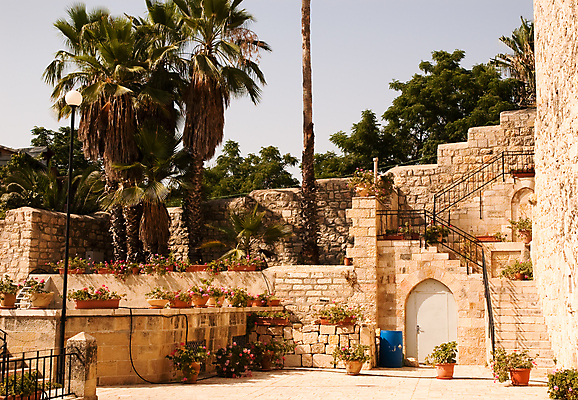 포토 JPG 해외이미지 나무 꽃 화분 도로 벽 여행 잎 포장 사다리 난간 휴가 휴식 거리 사람없음 야외 빛 야자수 문 화목 산책 단계 구시가지 리프팅 안뜰 예루살렘 이스라엘 해외202004 해외포토 식물 길 컨셉 교통시설 도구 서아시아 파일형식 이미지허브