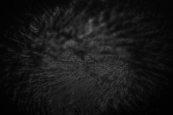 포토 JPG 해외이미지 모양 백그라운드 추상 사람없음 환경 활발 소프트포커스 부드러움 블러 해외202004 해외포토 컨셉 무늬 촬영기법 감각 파일형식 이미지허브