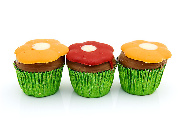 포토 JPG 해외이미지 꽃 음식 백그라운드 디저트 사탕 3 사람없음 컵 빨간색 초록색 초콜릿 흰색 달콤 크림 고립 해외202004 해외포토 식물 식기 컬러 맛 파일형식 이미지허브