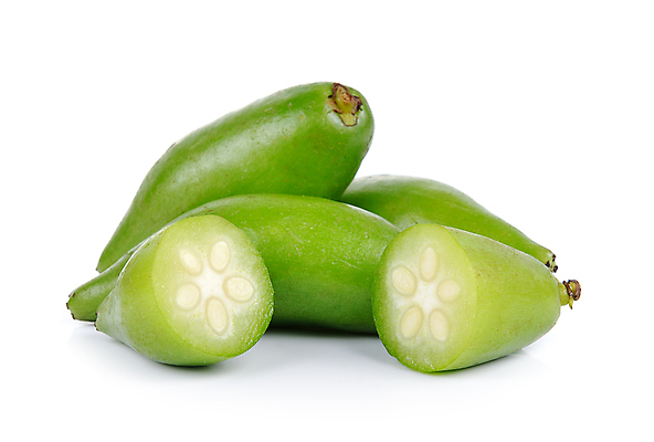 포토 JPG 해외이미지 식물 음식 농업 과일 재료 자연 건강 사람없음 초록색 수확 성장 껍질 신선 맛 유기농 숙성 해외202004 해외포토 웰빙 산업 컬러 컨셉 생태계 파일형식 이미지허브