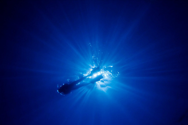 포토 JPG 해외이미지 여행 한명 물 수중 중앙아메리카 다이빙 지느러미 온두라스 해외202004 해외포토 자연요소 1 아메리카 사람 수영 수중스포츠 파일형식 이미지허브