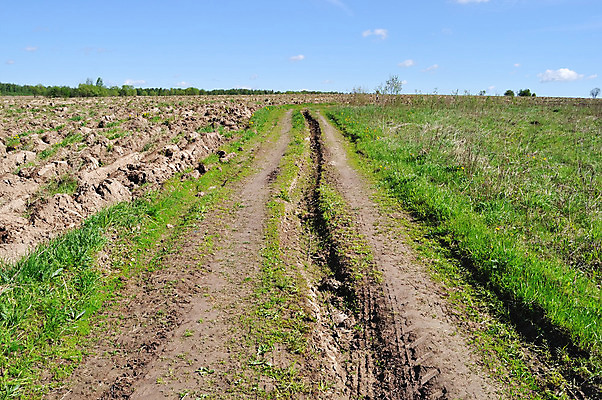포토 JPG 해외이미지 나무 구름 계절 도로 길 잎 밭 농업 교통시설 자연 하늘 풍경 사람없음 야외 초록색 파란색 햇빛 농장 마을 환경 경작 맑음 흙 봄 흰색 시골 가장자리 오솔길 땅 러시아 먼지 땅바닥 방법 밭일 해외202004 해외포토 자연요소 식물 유럽 산업 컬러 교통 날씨 바닥 태양 농사 둘레 시설 생태계 파일형식 이미지허브