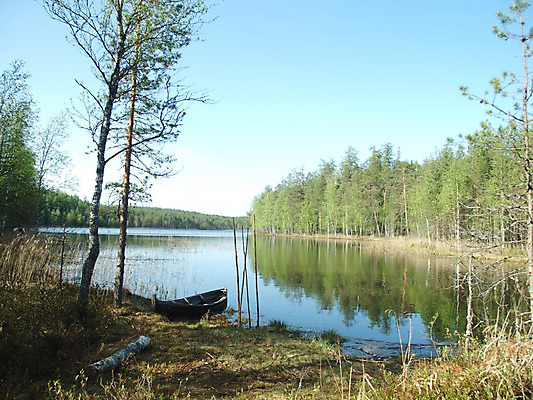 포토 JPG 해외이미지 식물 구름 계절 호수 자연 하늘 날씨 사람없음 목재 물 파란색 태양 반사 봄 보트 코드 해외202004 해외포토 자연요소 나무 컬러 배_교통 재료 생태계 파일형식 이미지허브
