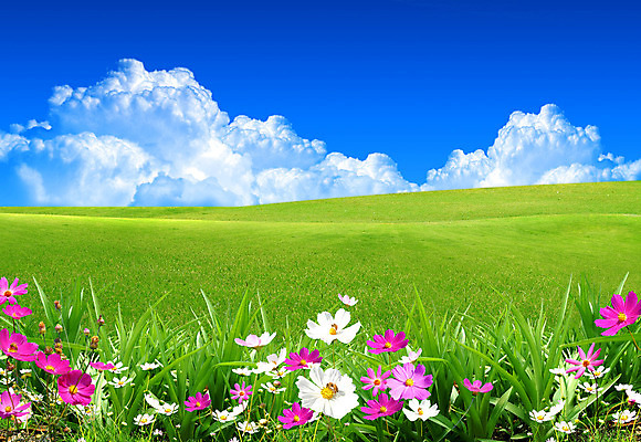 포토 JPG 해외이미지 나무 식물 구름 계절 꽃 호수 백그라운드 단풍 잎 밭 자연 하늘 날씨 추상 사람없음 야외 초록색 물 여름 파란색 빛 강 컬러풀 태양 반사 환경 봄 성장 나뭇가지 신선 숲 유기농 동물상 해외202004 해외포토 자연요소 웰빙 컬러 무늬 농업 조형물 생태계 파일형식 이미지허브