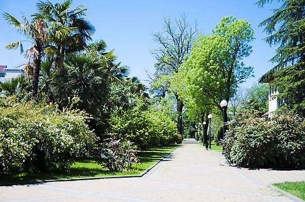 포토 JPG 해외이미지 모양 나무 공원 잎 건축양식 자연 하늘 주택 따뜻함 손바닥 사람없음 야외 목재 초록색 컬러풀 노란색 맑음 봄 산책 나뭇가지 신선 관목 해외202004 해외포토 식물 손 계절 공공시설 건축 컬러 재료 날씨 휴식 건물 생태계 파일형식 이미지허브