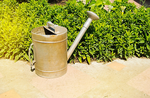 포토 JPG 해외이미지 식물 전통 디자인 계절 꽃 자연 취미 사람없음 야외 가로 초록색 여름 컬러풀 태양 금속 정원 맑음 봄 활발 장비 물뿌리개 성장 벚꽃 기구 침대 신선 캔 닫기 물주기 원예 화단 채소밭 돌봄 옛날 정물화 해외202004 해외포토 자연요소 컬러 가구 컨셉 밭 모션 재질 날씨 그림 생태계 파일형식 이미지허브