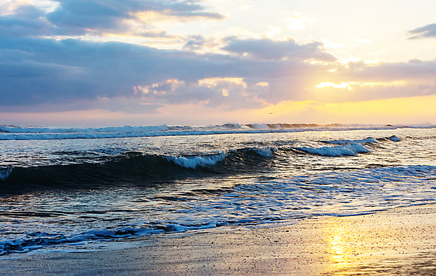 포토 JPG 해외이미지 실루엣 파도 바다 여행 백그라운드 자연 조류 휴가 휴식 산 풍경 사람없음 물 빛 모래사장 햇빛 태양 일출 침묵 황혼 일몰 새벽 서핑 내추럴 특별함 해외202004 해외포토 자연요소 동물 컨셉 촬영기법 노을 소리 수상스포츠 생태계 파일형식 이미지허브