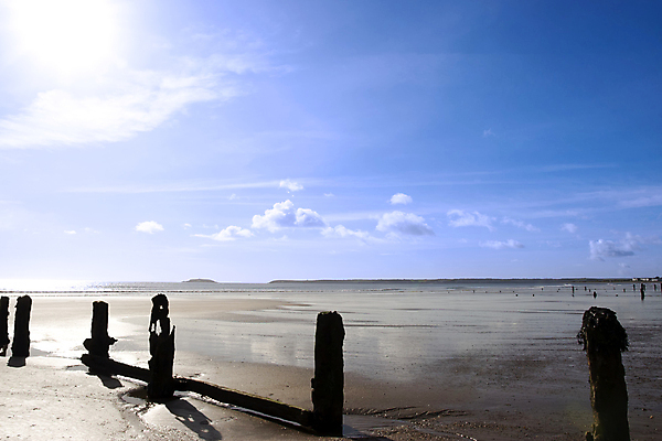 포토 JPG 해외이미지 구름 실루엣 모래 파도 바다 오렌지 자연 조류 날씨 휴가 그림자 풍경 사람없음 목재 물 파란색 빛 햇빛 반사 평화 일출 맑음 침묵 황혼 일몰 새벽 서핑 황금 보호 저녁 장면 아일랜드 잔물결 해외202004 해외포토 자연요소 나무 동물 유럽 물결 컬러 컨셉 과일 재료 촬영기법 태양 노을 소리 수상스포츠 야간 생태계 파일형식 이미지허브