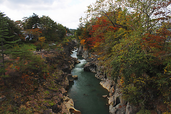 포토 JPG 해외이미지 나무 식물 계절 단풍 잎 자연 풍경 사람없음 야외 빨간색 초록색 물 노란색 일본 가을 개울 숲 해외202004 해외포토 자연요소 아시아 컬러 강 생태계 파일형식 이미지허브