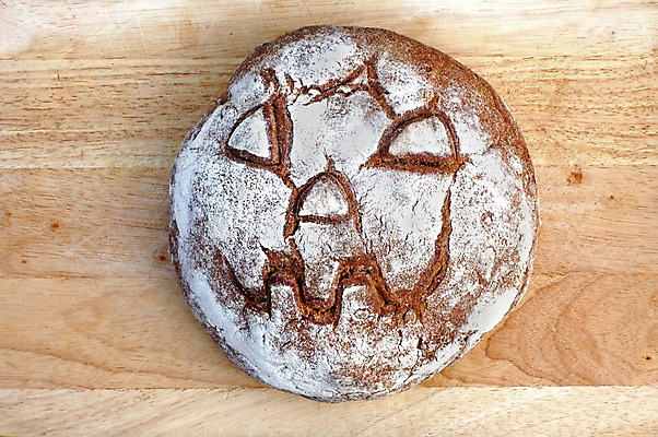 포토 JPG 해외이미지 식물 전통 얼굴 음식 빵 백그라운드 다이어트 자연 탁자 건강 옥수수 씨앗 사람없음 목재 갈색 주방 식사 침묵 빵집 할로윈 수확 껍질 신선 원형 맛 아침식사 낟알 시리얼 밀 다발 굽기 오브젝트 준비 유기농 밀가루 덩어리 내추럴 핸드메이드 호밀 홈메이드 귀리 해외202004 해외포토 도형 나무 웰빙 컬러 가구 컨셉 농업 재료 곡류 신체부위 상점 소리 가루 구이 생태계 만들기 파일형식 이미지허브