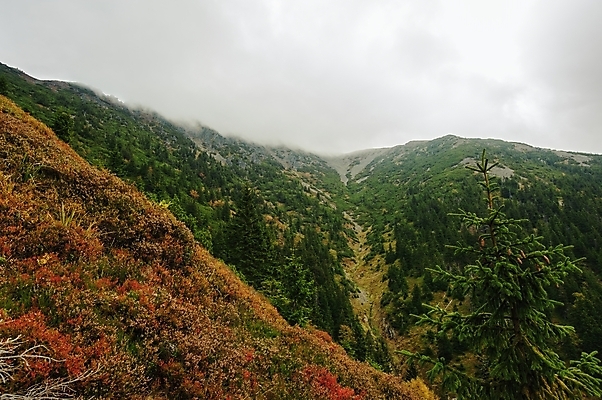 포토 JPG 해외이미지 나무 구름 계절 유럽 여행 백그라운드 자연 하늘 휴가 산 파노라마 풍경 사람없음 야외 초록색 환경 계곡 안개 가을 숲 언덕 내추럴 해외202004 해외포토 자연요소 식물 나라 컬러 날씨 촬영기법 생태계 파일형식 이미지허브