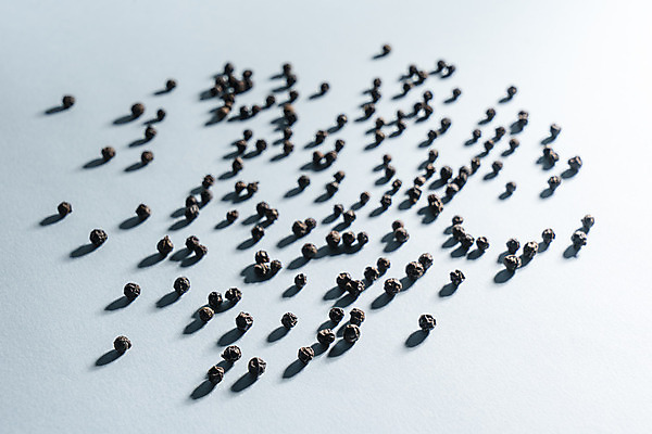 포토 JPG 해외이미지 식물 음식 백그라운드 재료 자연 건조 요리 씨앗 사람없음 빨간색 초록색 약 갈색 쌓기 주방 검은색 흰색 신선 뜨거움 양념 조미료 그룹 맛 정상 낟알 인도인 허브 향신료 유기농 질감 매움 날것 아로마 향료 향 후추 흙더미 내추럴 고립 해외202004 해외포토 외국인 웰빙 컬러 컨셉 의학 모션 동양인 흙 생태계 향기 냄새 향미료 파일형식 더미 이미지허브