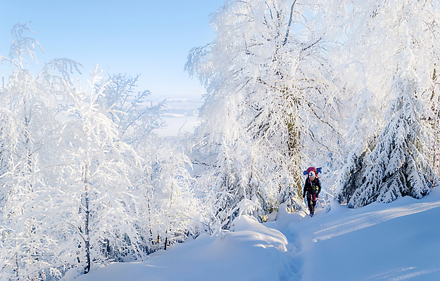 포토 JPG 해외이미지 나무 1 계절 감정 길 여행 겨울 자국 자연 하늘 날씨 휴가 그림자 한명 사람 풍경 취미 야외 빛 햇빛 여행객 평화 맑음 산책 트래킹 하이킹 추위 자유 흰색 황무지 숲 오솔길 휴양지 서리 천국 삼림지대 혼자 눈내림 해외202004 해외포토 식물 컬러 컨셉 레저 휴식 눈_날씨 태양 장소 생태계 파일형식 이미지허브