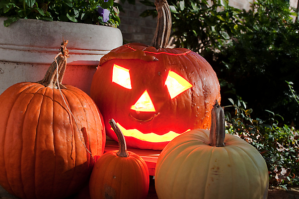 포토 JPG 해외이미지 오렌지 호박 사람없음 할로윈 목각 해외202004 해외포토 채소 과일 파일형식 이미지허브