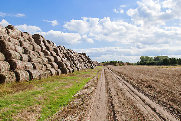 포토 JPG 해외이미지 백그라운드 밭 농업 하늘 건조 풍경 사람없음 여름 파란색 농장 노란색 쌓기 마을 수확 시골 황금 볏짚 낟알 밀짚 해외202004 해외포토 계절 산업 컬러 모션 짚 파일형식 이미지허브