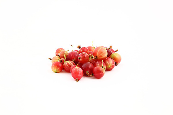 포토 JPG 해외이미지 열매 음료 음식 백그라운드 잎 다이어트 채소 과일 자연 휴식 디저트 3 사람 성인 사람없음 가로 빨간색 초록색 약 식사 금지 흰색 그룹 닫기 달콤 맛 작음 큼 오브젝트 상쾌 슛 고립 구스베리 채식주의자 비건 해외202004 해외포토 식물 감정 컬러 컨셉 의학 모션 건강 크기 생태계 채식 파일형식 이미지허브