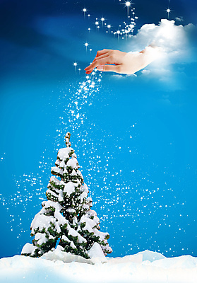 포토 JPG 해외이미지 나무 손 계절 별 백그라운드 크리스마스 겨울 휴가 새로움 선물 사람없음 장식 파란색 빛 축제 침묵 신용카드 야간 연도 오브젝트 신성 마법 해외202004 해외포토 자연요소 식물 기념일 컬러 컨셉 신체부위 금융 소리 파일형식 이미지허브