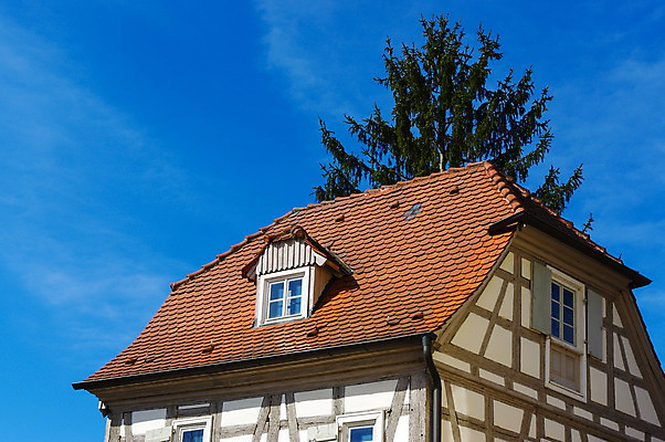 포토 JPG 해외이미지 나무 전통 디자인 외관 문화 얼굴 건축양식 창문 가족 하늘 주택 프레임 잔디 사람없음 목재 초록색 여름 파란색 마을 바위 흰색 도시 중세 역사 재산 고급 시골집 복고 이웃 내추럴 교외 옛날 진짜 스타일 해외202004 해외포토 식물 계절 건축 컬러 컨셉 재료 관계 건물 신체부위 금융 돌_바위 파일형식 이미지허브