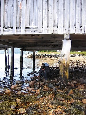 포토 JPG 해외이미지 산업 자연 하늘 사람없음 목재 파란색 흰색 기중기 천국 방앗간 해외202004 해외포토 나무 컬러 재료 중장비 생태계 파일형식 이미지허브