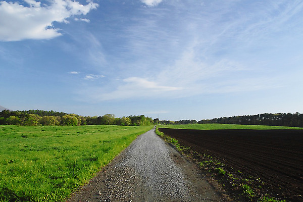 포토 JPG 해외이미지 구름 도로 밭 자연 하늘 풍경 사람없음 야외 초록색 파란색 장면 방법 해외202004 해외포토 자연요소 길 컬러 농업 교통시설 생태계 파일형식 이미지허브