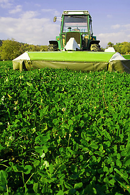포토 JPG 해외이미지 나무 식물 줄기 잎 밭 농업 자연 새로움 따뜻함 씨앗 풍경 잔디 사람없음 야외 초록색 여름 파란색 햇빛 농장 농경지 환경 기계 시골 뜨거움 땅 자르기 허브 트랙터 엔진 내추럴 땅바닥 밭일 해외202004 해외포토 계절 산업 컬러 컨셉 모션 바닥 태양 농기계 생태계 특수차량 파일형식 이미지허브