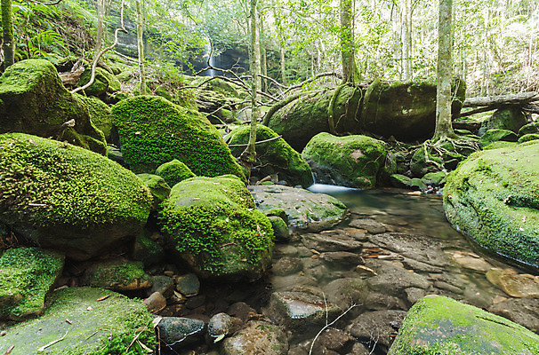 포토 JPG 해외이미지 나무 식물 공원 백그라운드 잎 모션 태국 자연 휴가 휴식 풍경 사람없음 목재 초록색 물 강 놀람 봄 활발 폭포 젖음 흐름 성장 가을 신선 개울 숲 시원함 순수 즐거움 천국 이국적 파라다이스 해외202004 해외포토 자연요소 계절 공공시설 감정 아시아 컬러 컨셉 재료 표정 생태계 파일형식 이미지허브