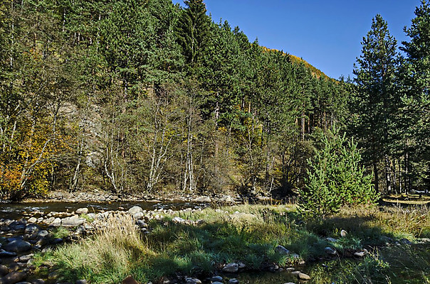 포토 JPG 해외이미지 나무 식물 계절 파도 여행 낙엽 잎 모션 자연 이끼 풍경 사람없음 야외 초록색 물 빛 강 노란색 여행객 환경 거품 하이킹 흐름 가을 바위 나뭇가지 소나무 개울 떨어짐 숲 큼 언덕 그림 침엽수 내추럴 불가리아 해외202004 해외포토 자연요소 바다 컬러 컨셉 레저 사람 돌_바위 크기 생태계 파일형식 남유럽 이미지허브